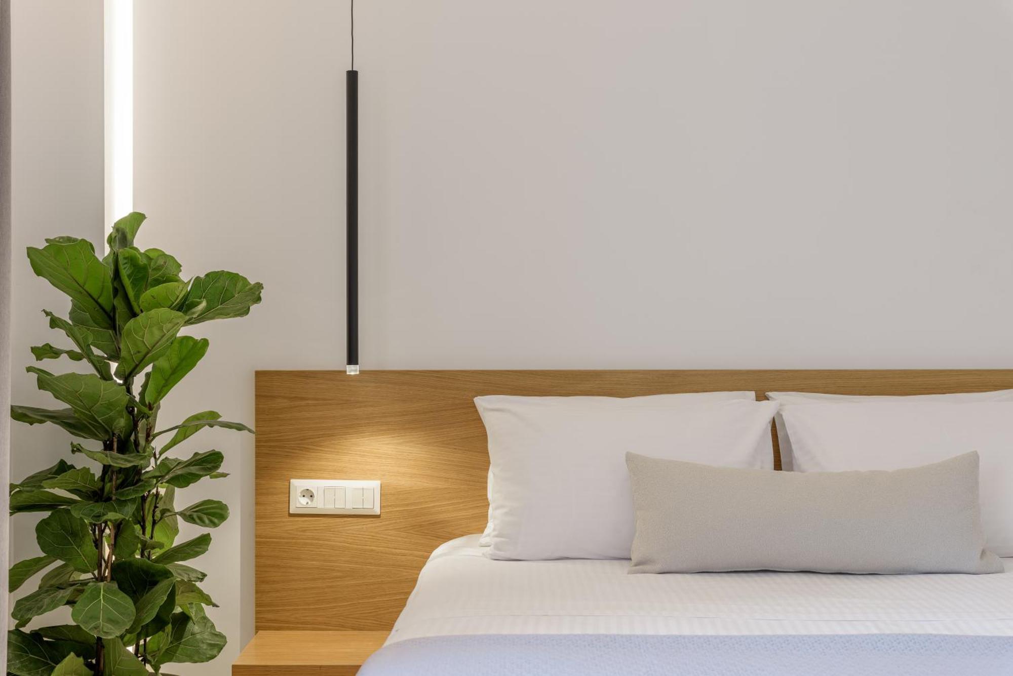 Central Sunny Loft With Plunge Pool 雅典 外观 照片